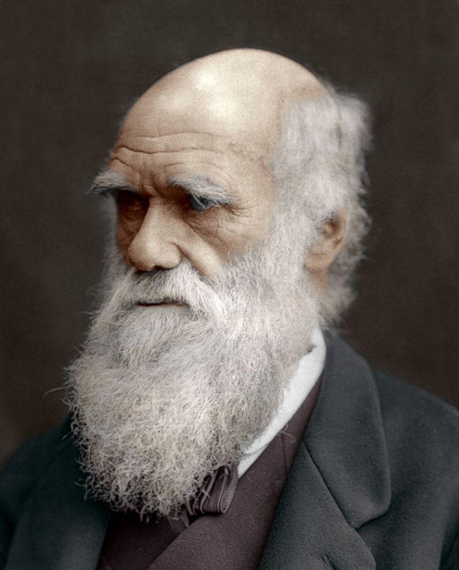 صورة فوتوغرافية ملونة اعتمادا على التقنيات الحديثة لشارل داروين